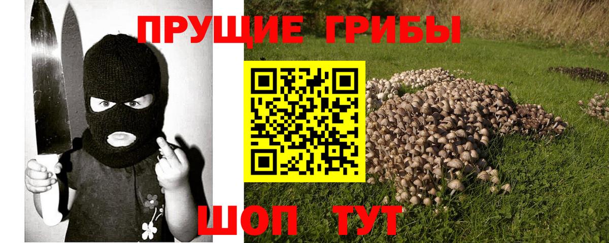 Псилоцибиновые грибы MAGIC MUSHROOMS Тавда